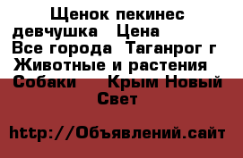 Щенок пекинес девчушка › Цена ­ 2 500 - Все города, Таганрог г. Животные и растения » Собаки   . Крым,Новый Свет